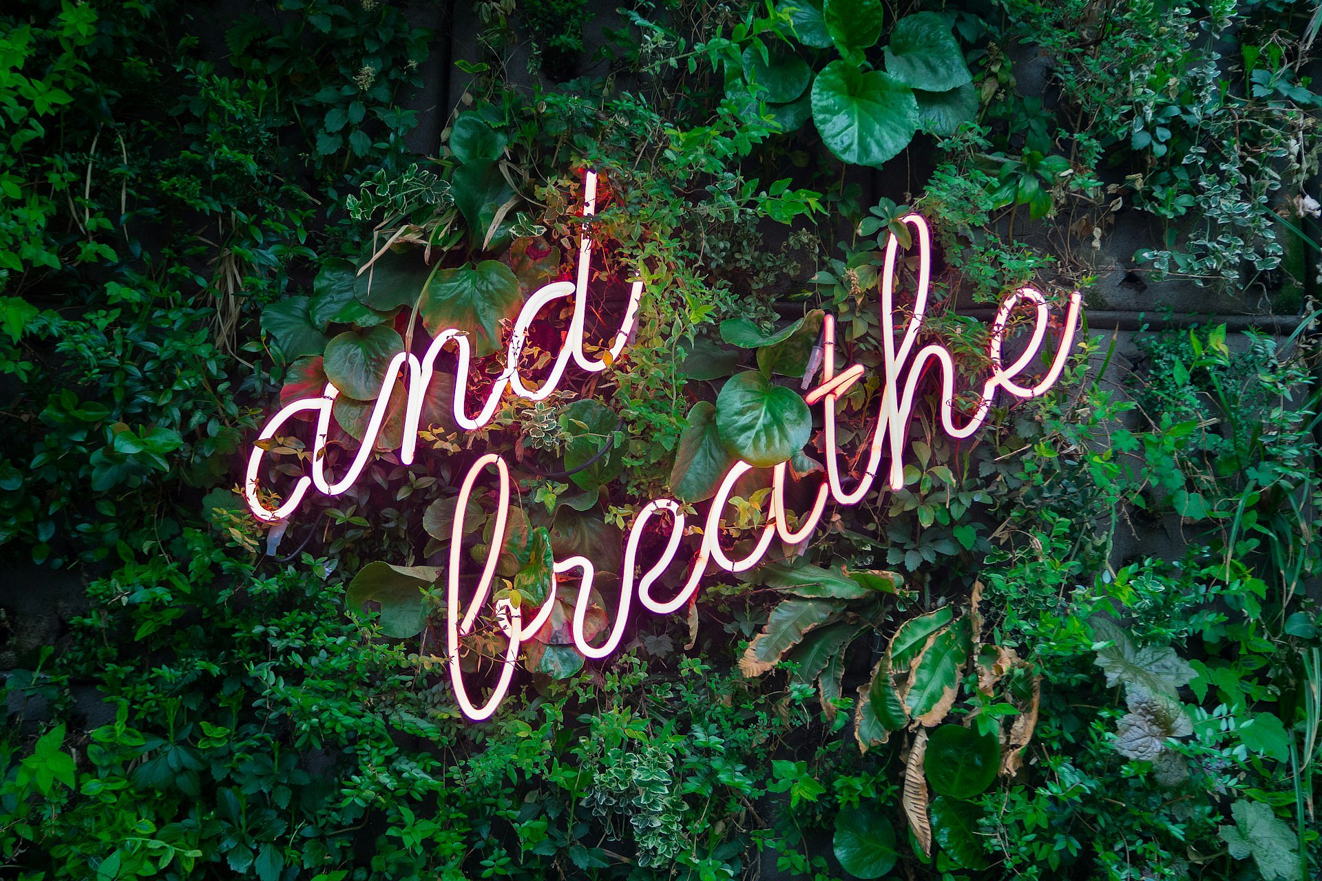 Symbolbild: Neonschrift "and breathe" auf Efeu