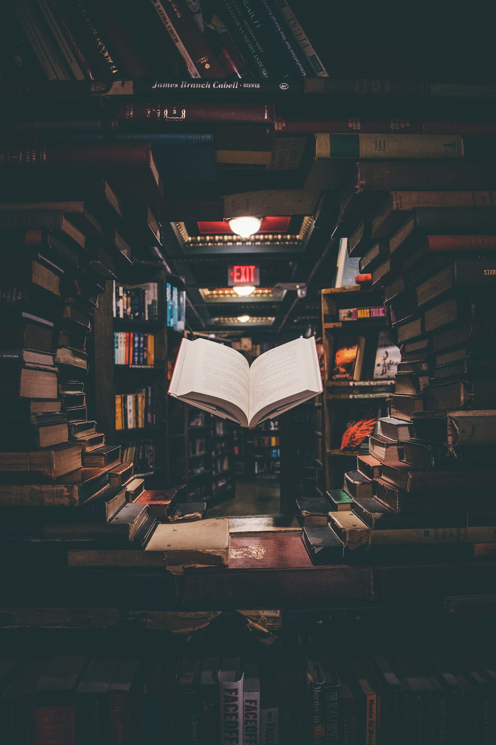 Symbolbild: Bibliothek und Buch